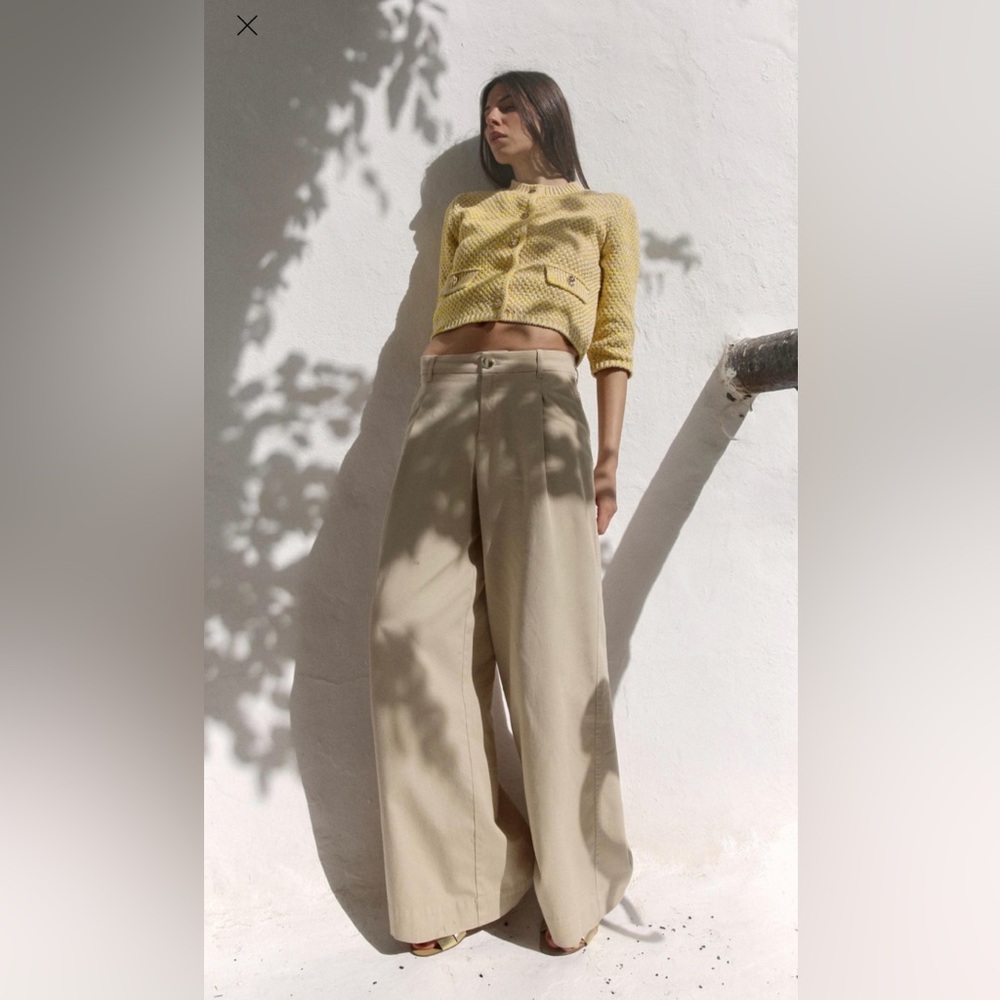 Brand New Zara Wide Leg Pants with Darts